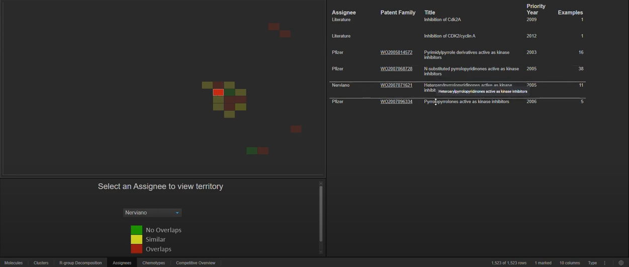 IP-G_assignee_tab_details.png